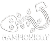 Hampichicuy