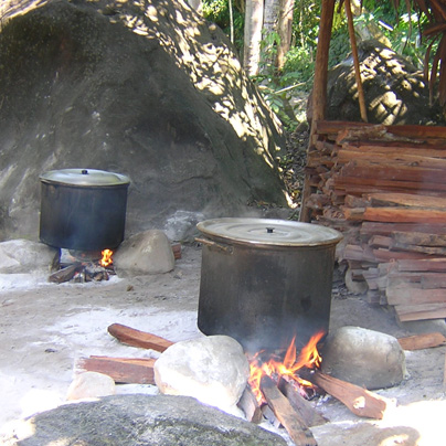 Preparación Tradicional del Ayahuasca